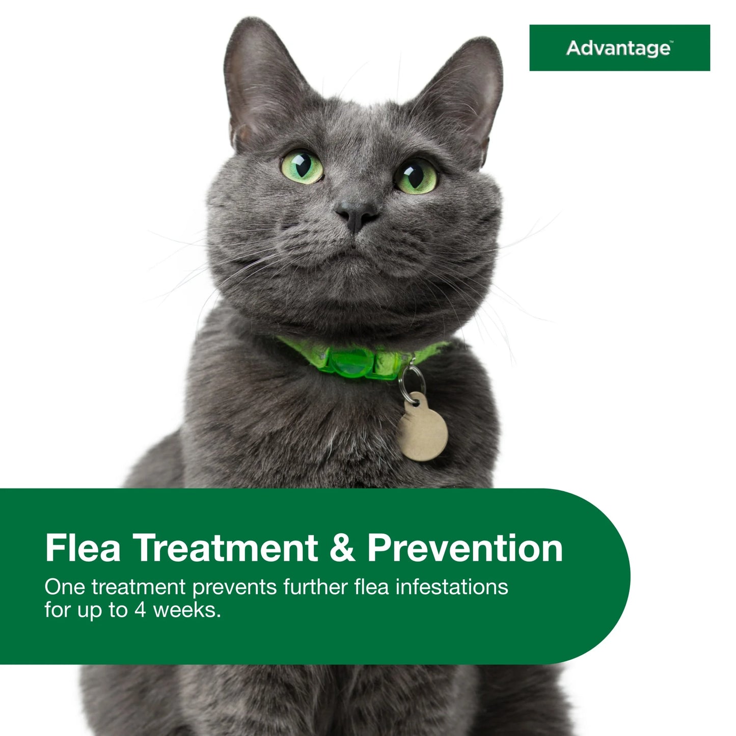 Topical Flea Treatment & Prevention for Large Cats over 9 Lbs. (2 Count)