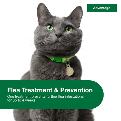 Topical Flea Treatment & Prevention for Large Cats over 9 Lbs. (2 Count)