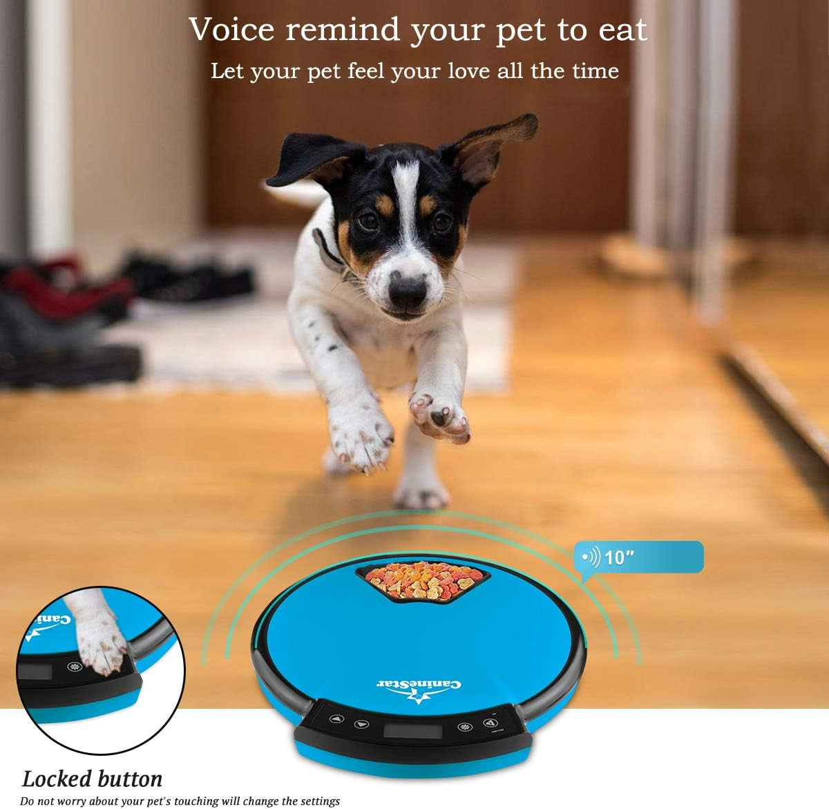 Automatic Pet Feeder for Cats Dogs, 5 Meal Food Dispenser Trays Cat Feeder Dry Wet Food Auto Feeder by Caninestar (Blue)