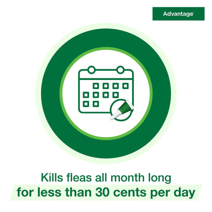 Topical Flea Treatment & Prevention for Large Cats over 9 Lbs. (2 Count)